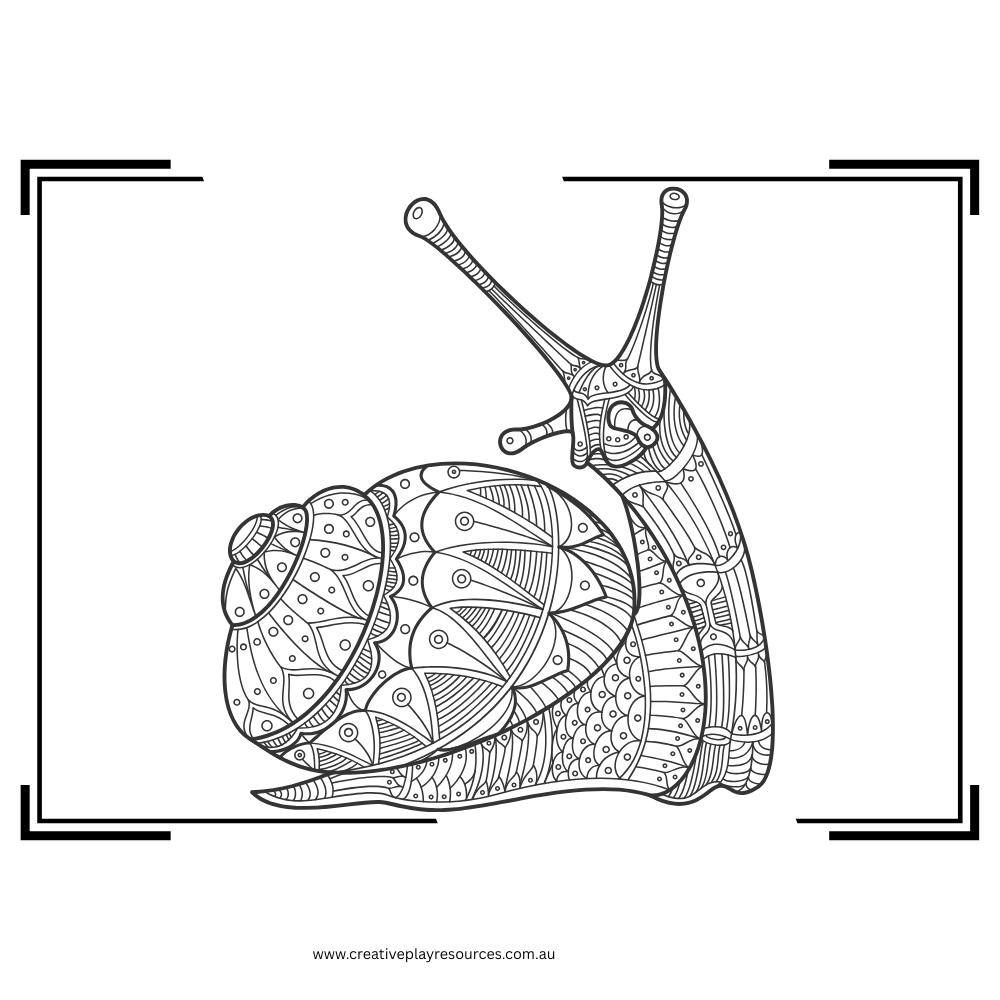 snail colouring printable