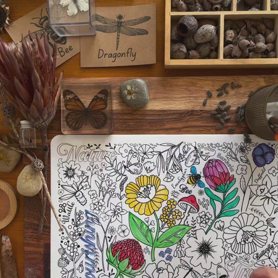 australian flowers colouring 