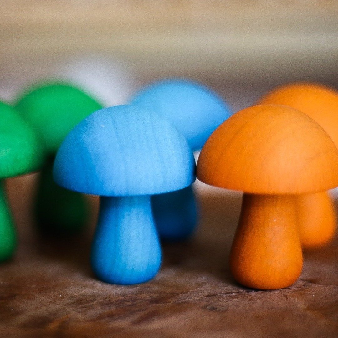 Coloured Mushroom Set - www.creativeplayresources.com.au